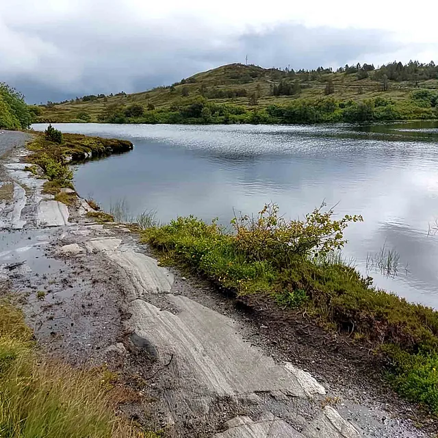 En smal grusvei eller sti som svinger seg langs kanten av et blikkstille vann omkranset av skog.