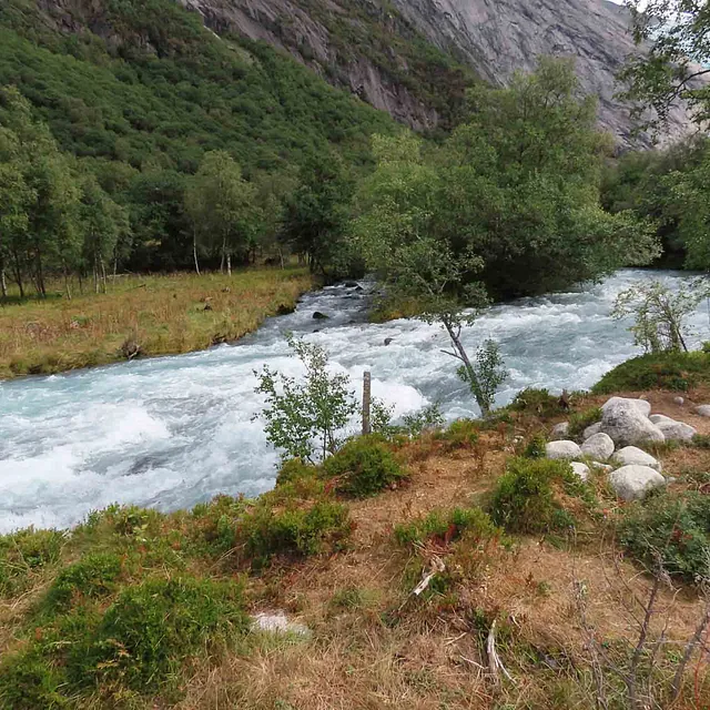 Brusende, hvit elv som strømmer forbi grønne trær og gresskledde bredder.